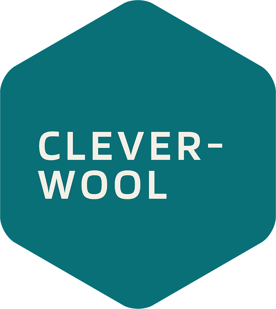 CleverWool