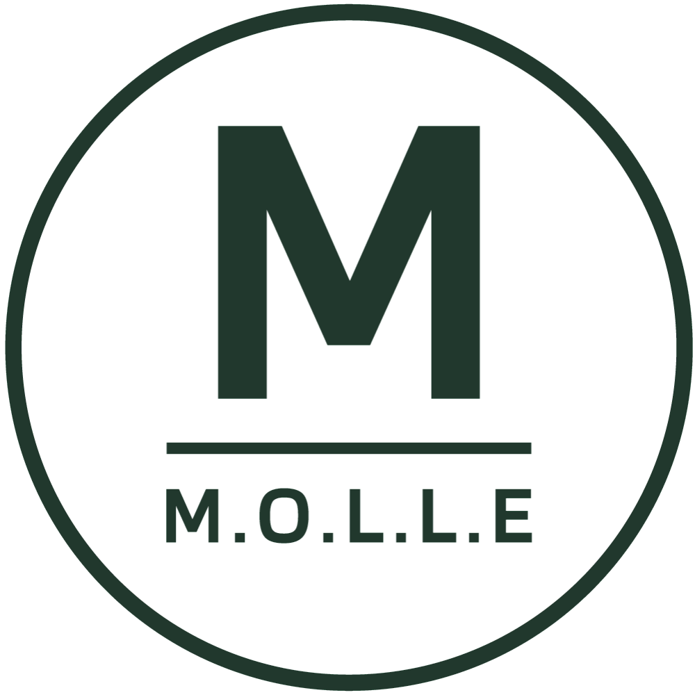 (HÄ) Molle system